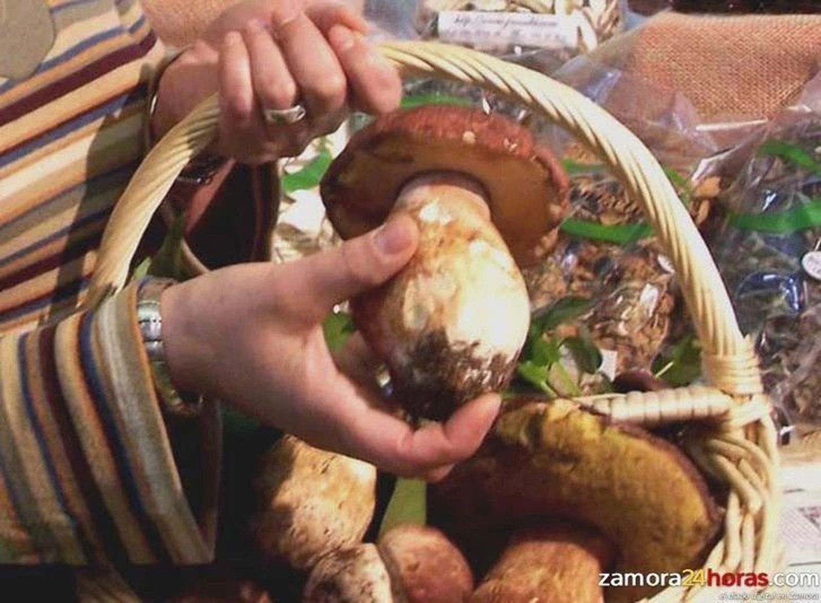 WhatsApp Image 2020 11 30 at 21.19.00