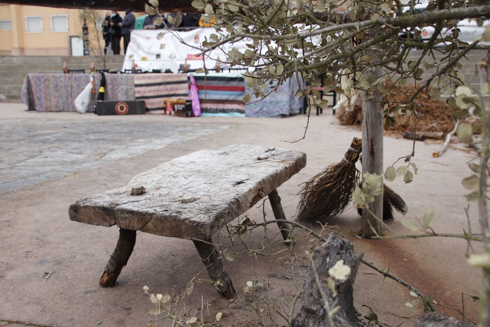 20220219115349-mg-7925