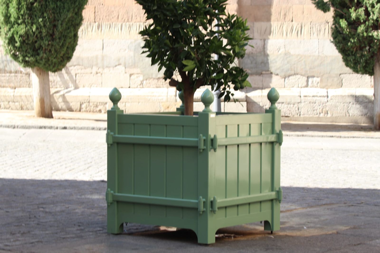 whatsapp-image-2024-08-27-at-17-49-07