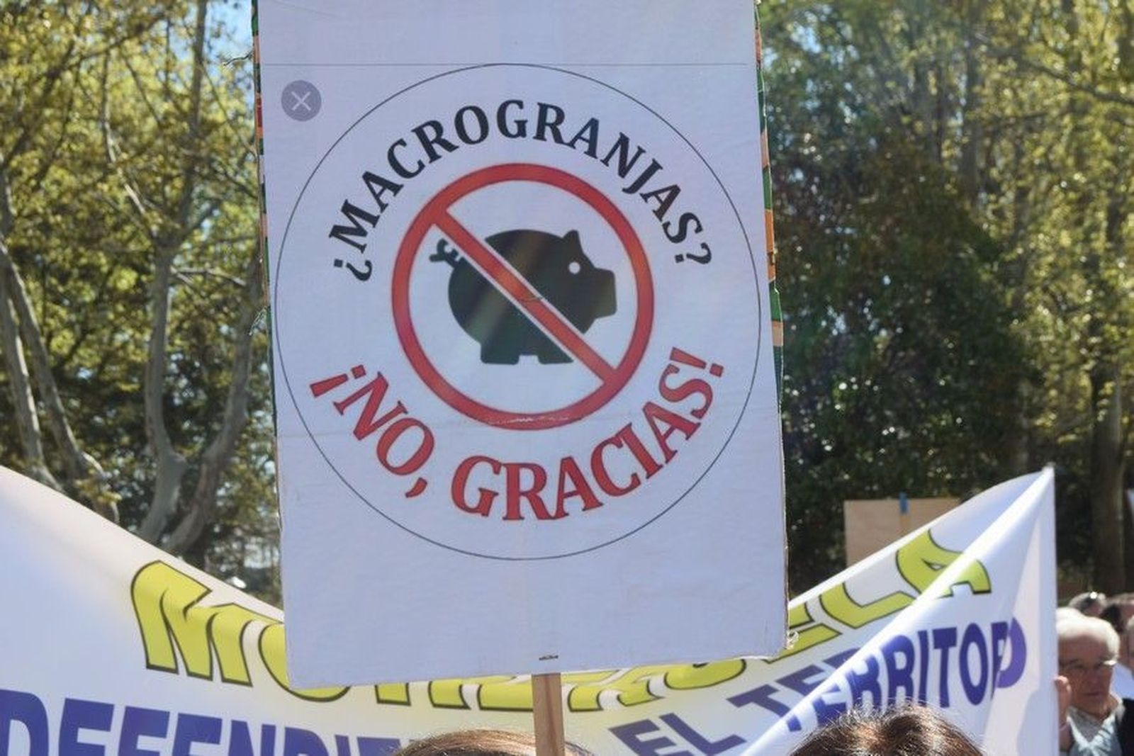 Una manifestación contra las macrgranjas en Zamora. Archivo