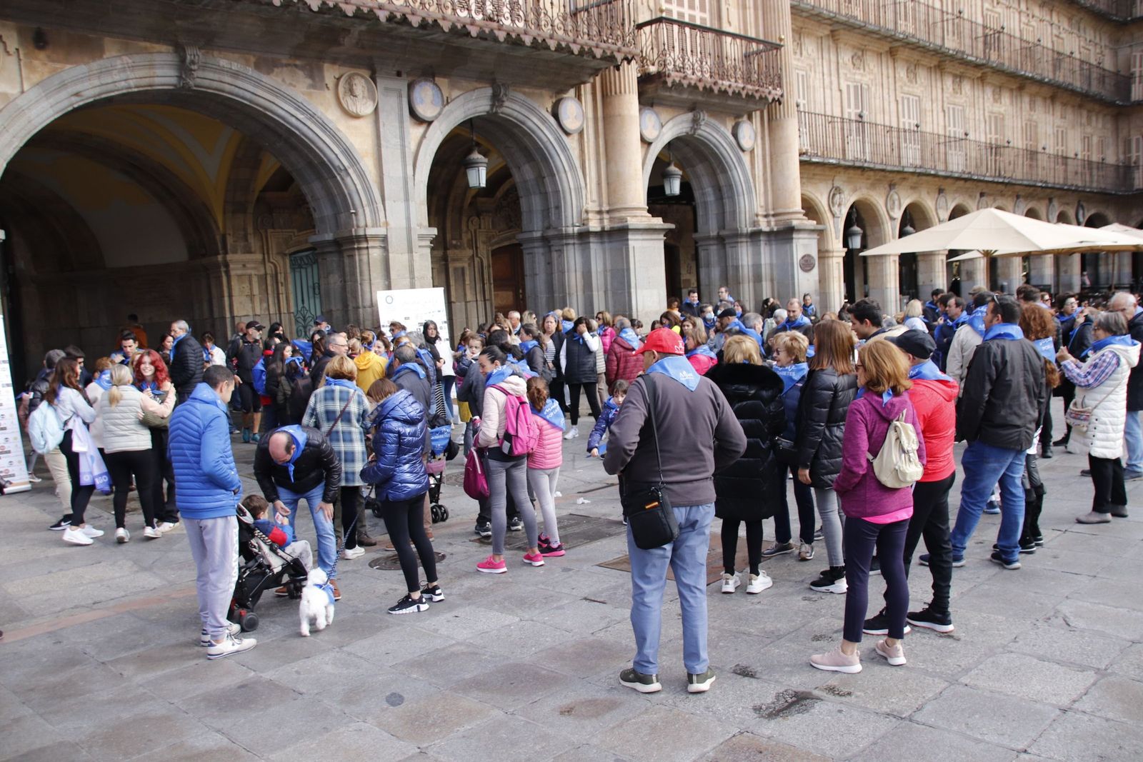 20221112113329-mg-1287