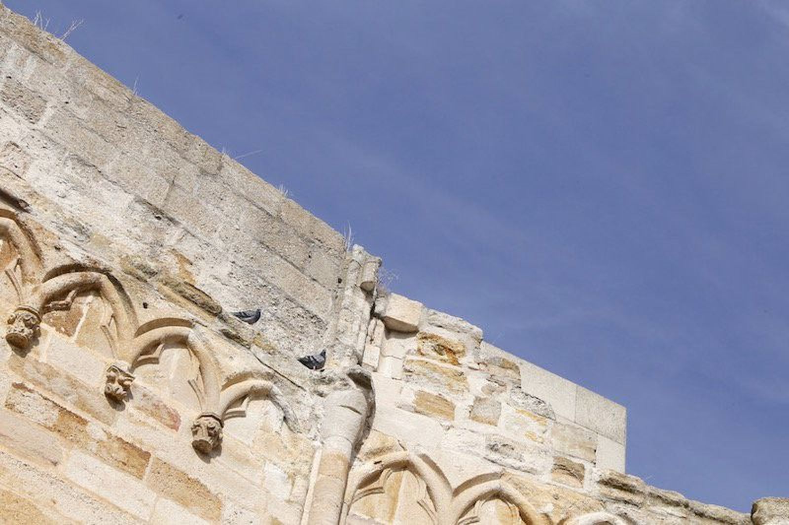 Cielos soleados y temperaturas de hasta quince grados