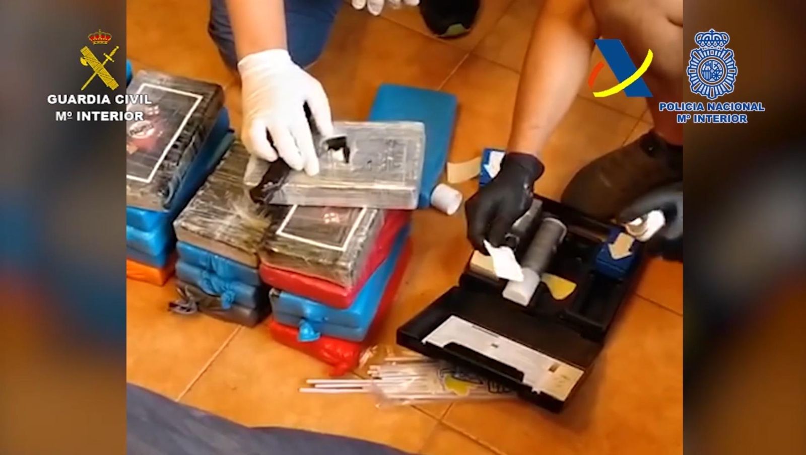 Imagen de la operación Zabra