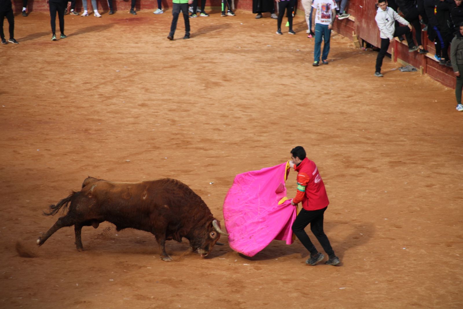 Encierro de martes en el Carnaval del Toro de Ciudad Rodrigo 2026