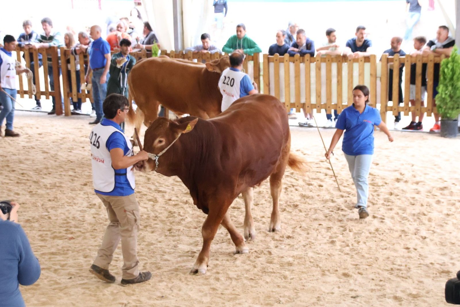 20230902105652-img-6992