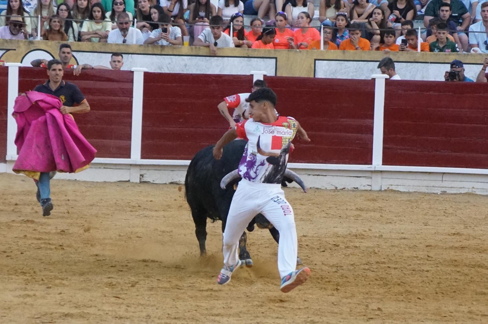 Gran ambiente en los cortes y la suelta de vaquillas de Peñaranda