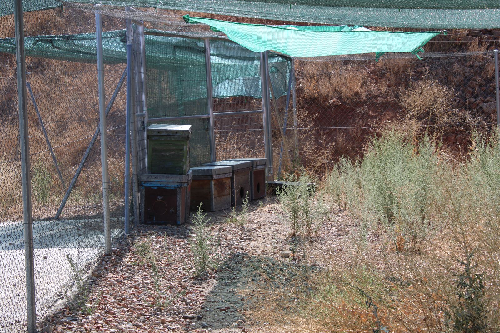 refugio-de-animales-del-ayuntamiento-de-salamanca-60