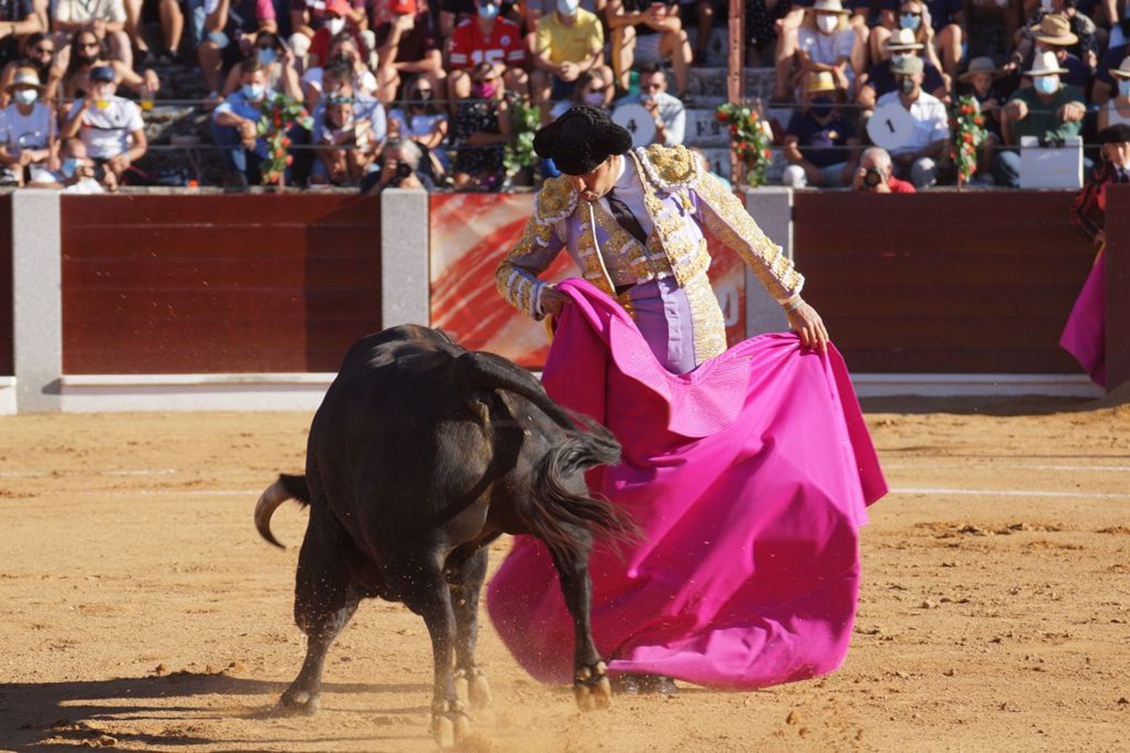 guijuelo-toros-el-puerto-de-san-lorenzo-15
