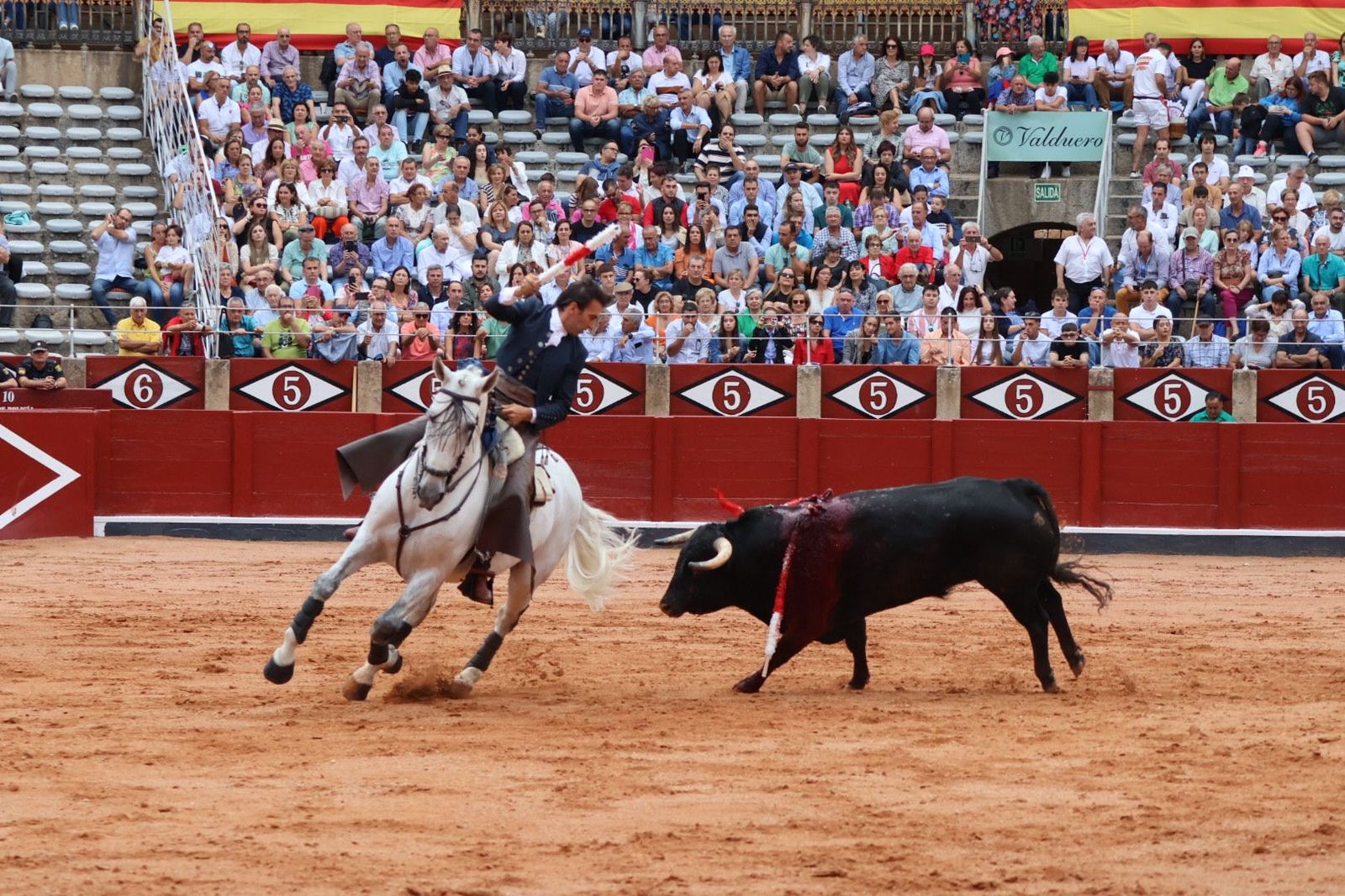 20230909174248-img-0529