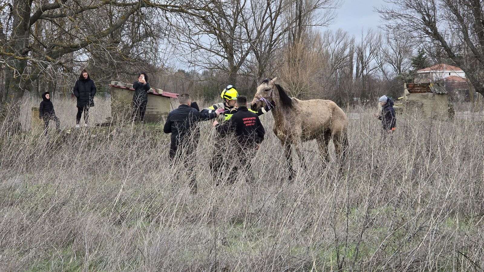 Inundaciones en Aldeatejada