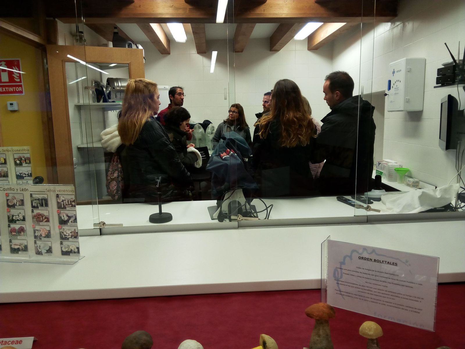 La Escuela Micológica de Ungilde