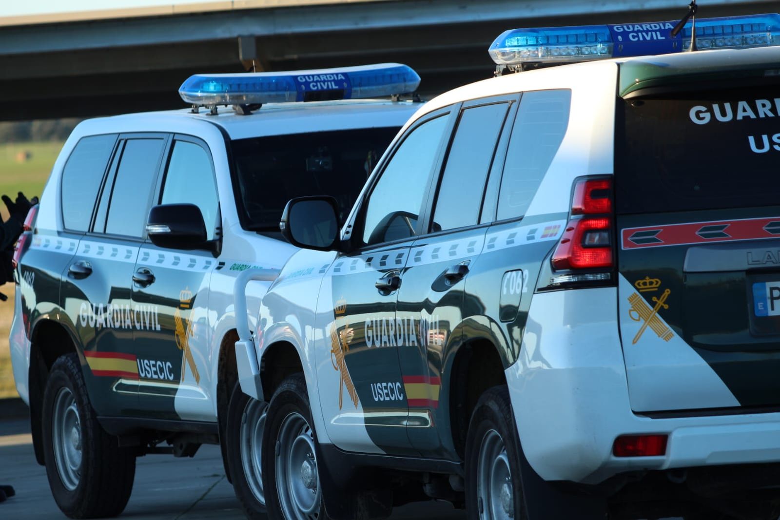 whatsapp-image-2024-12-20-at-18-00-09-1