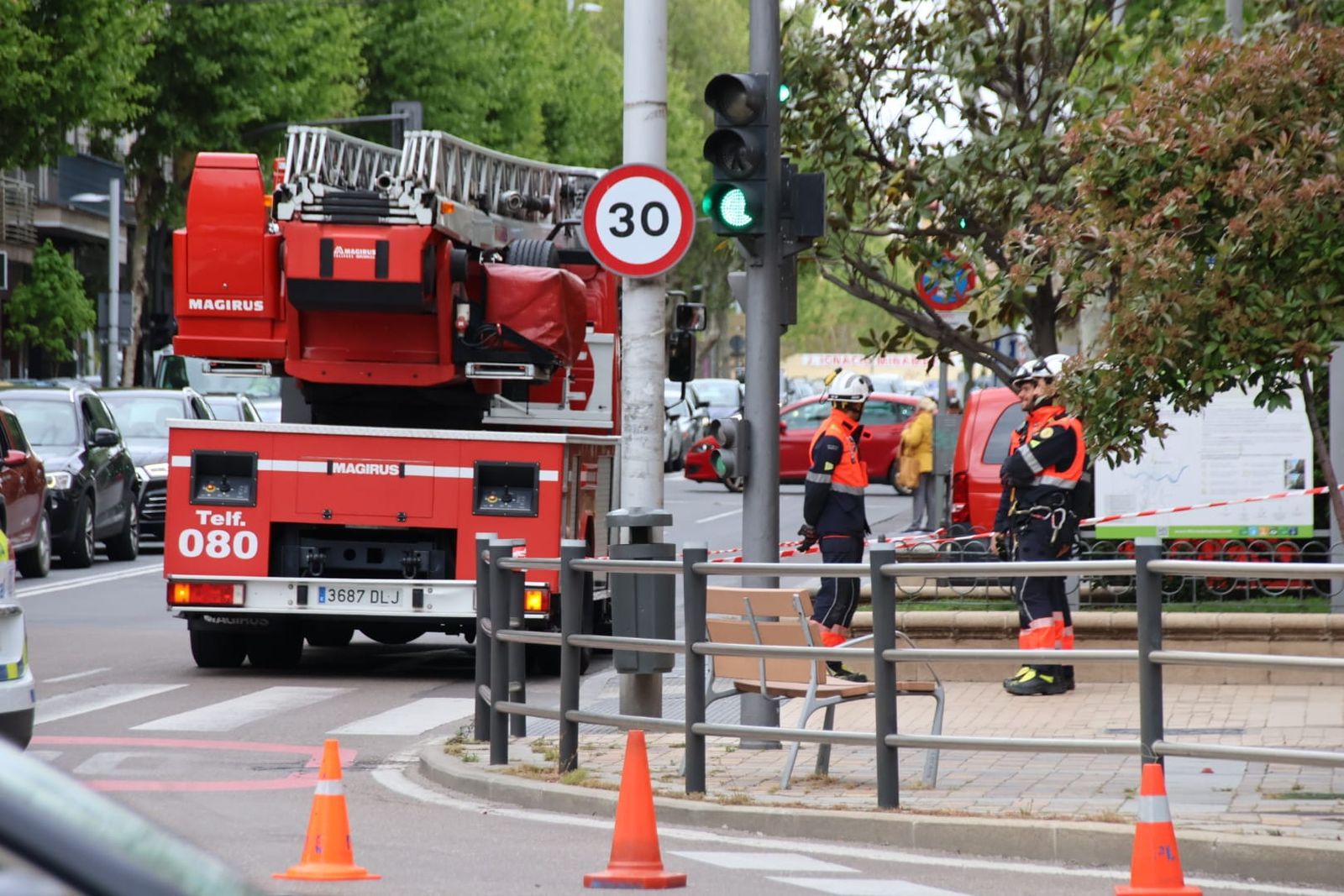 Bomberos y Policía Local intervienen por un árbol caído en la glorieta de la UDS (3)