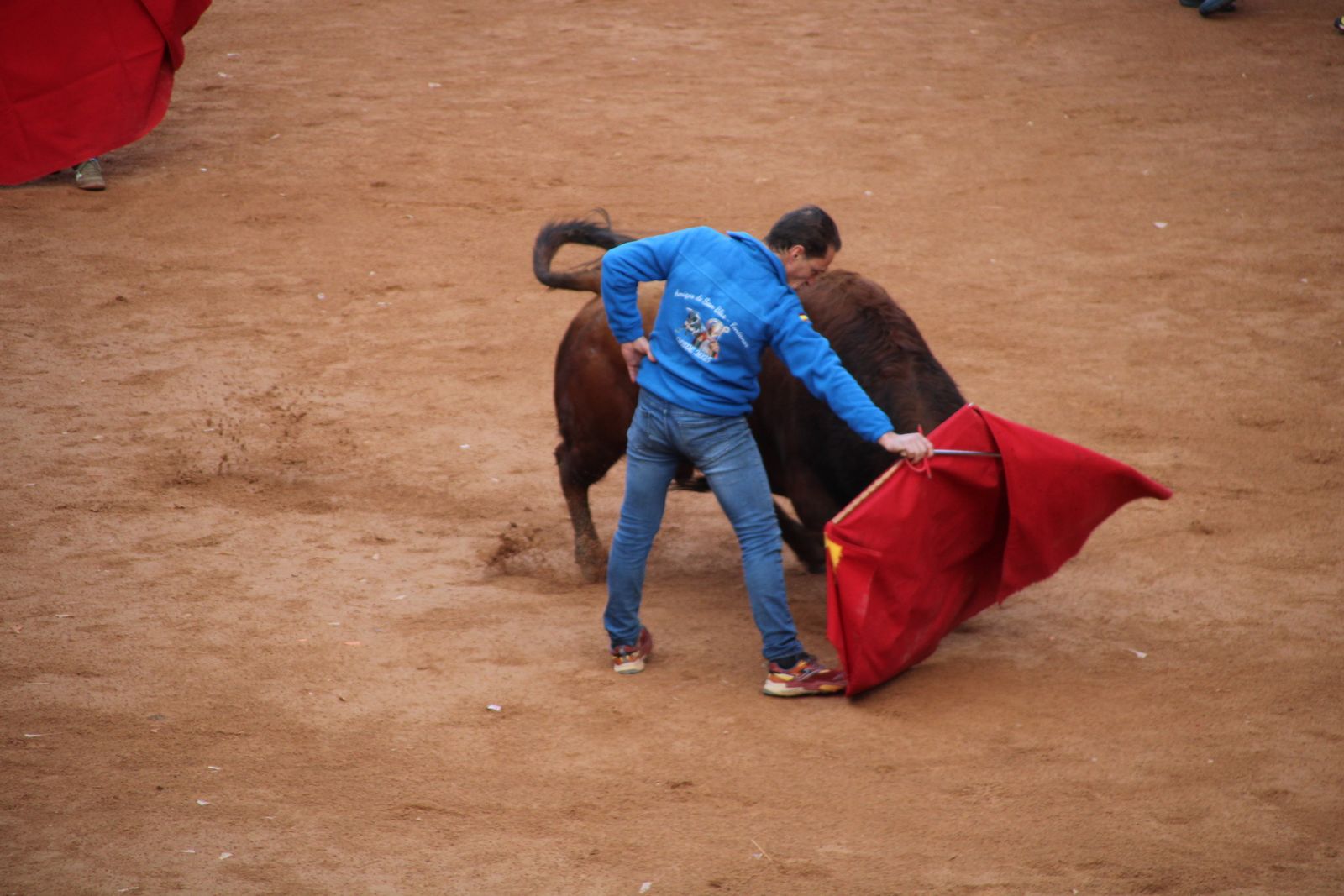 Toro del aguardiente en la mañana de martes del Carnaval del Toro 2026