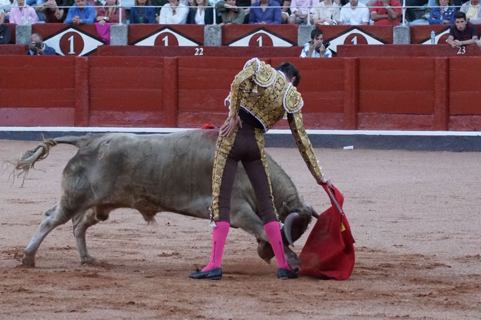 Clase práctica con alumnos de la Escuela de Tauromaquia de Salamanca (Diego Mateos, Noel García y Álvaro Rojo con erales de Esteban Isidro)