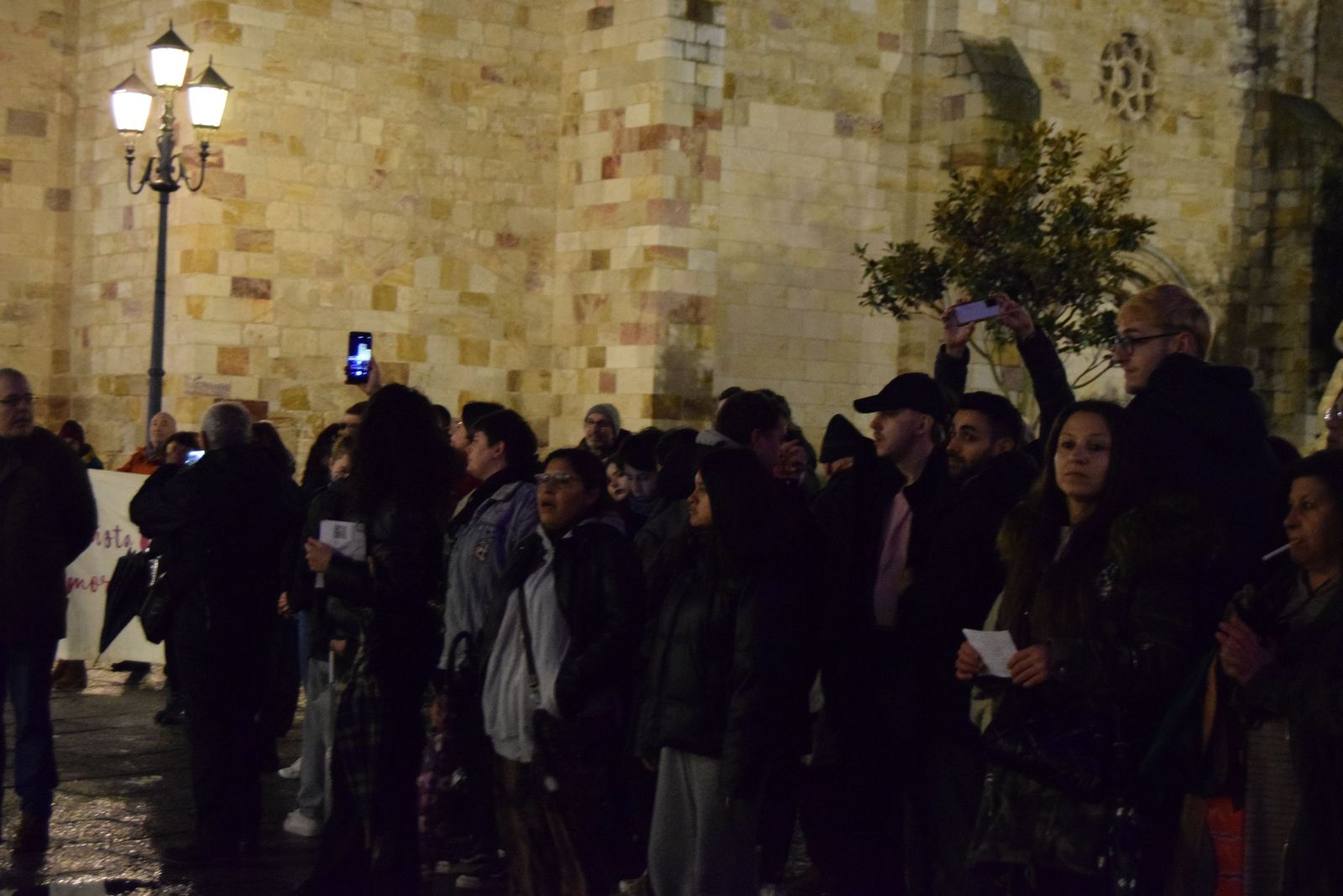 manifestacion-por-el-8m-en-zamora-38