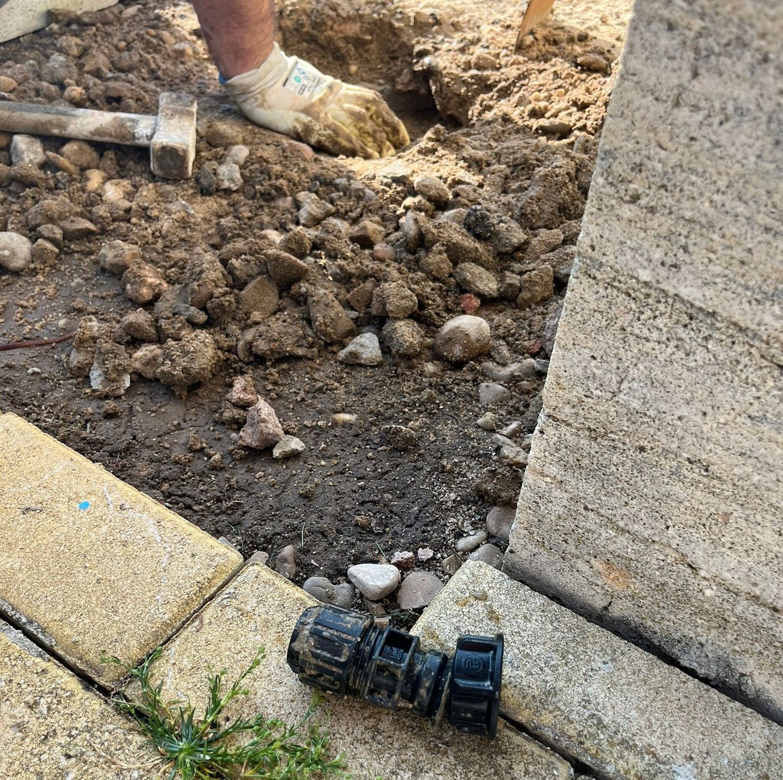 Fuga vivienda Castellanos de Moriscos