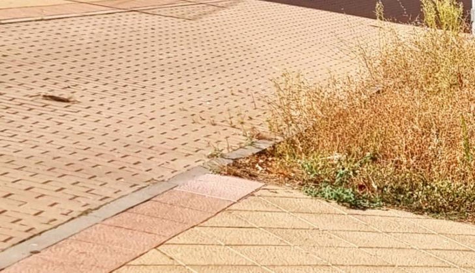 Parque de Los Alcaldes 