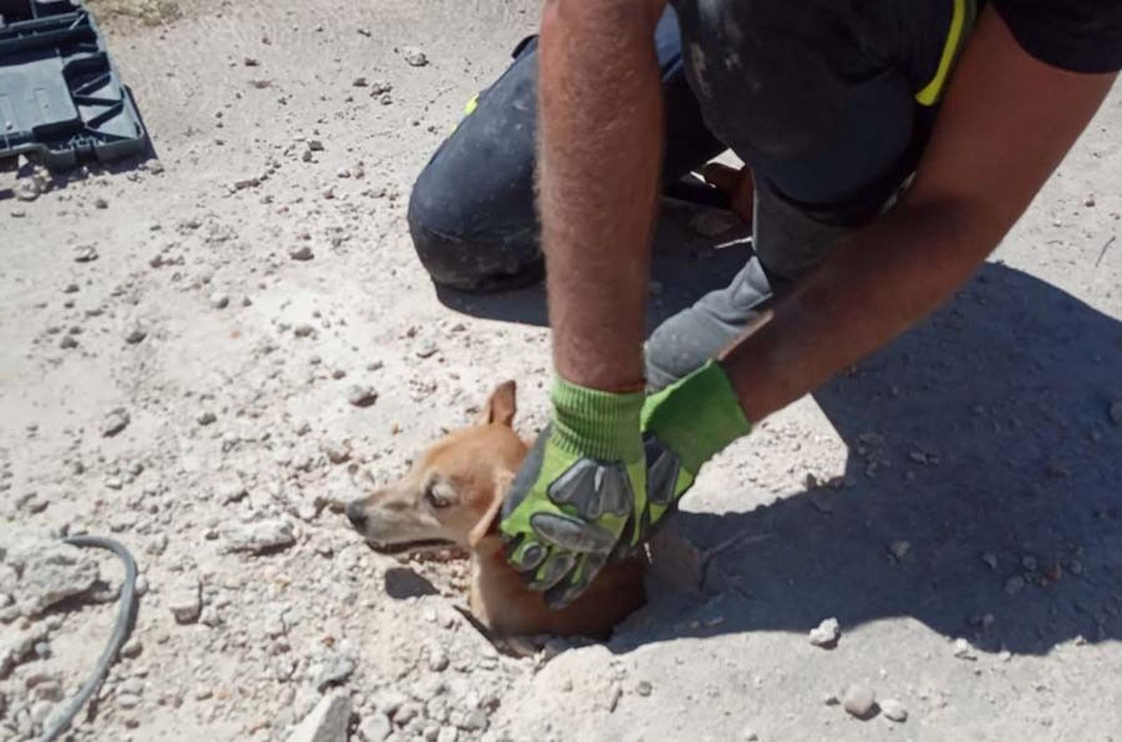 WhatsApp Image 2020 07 26 at 17.52.05