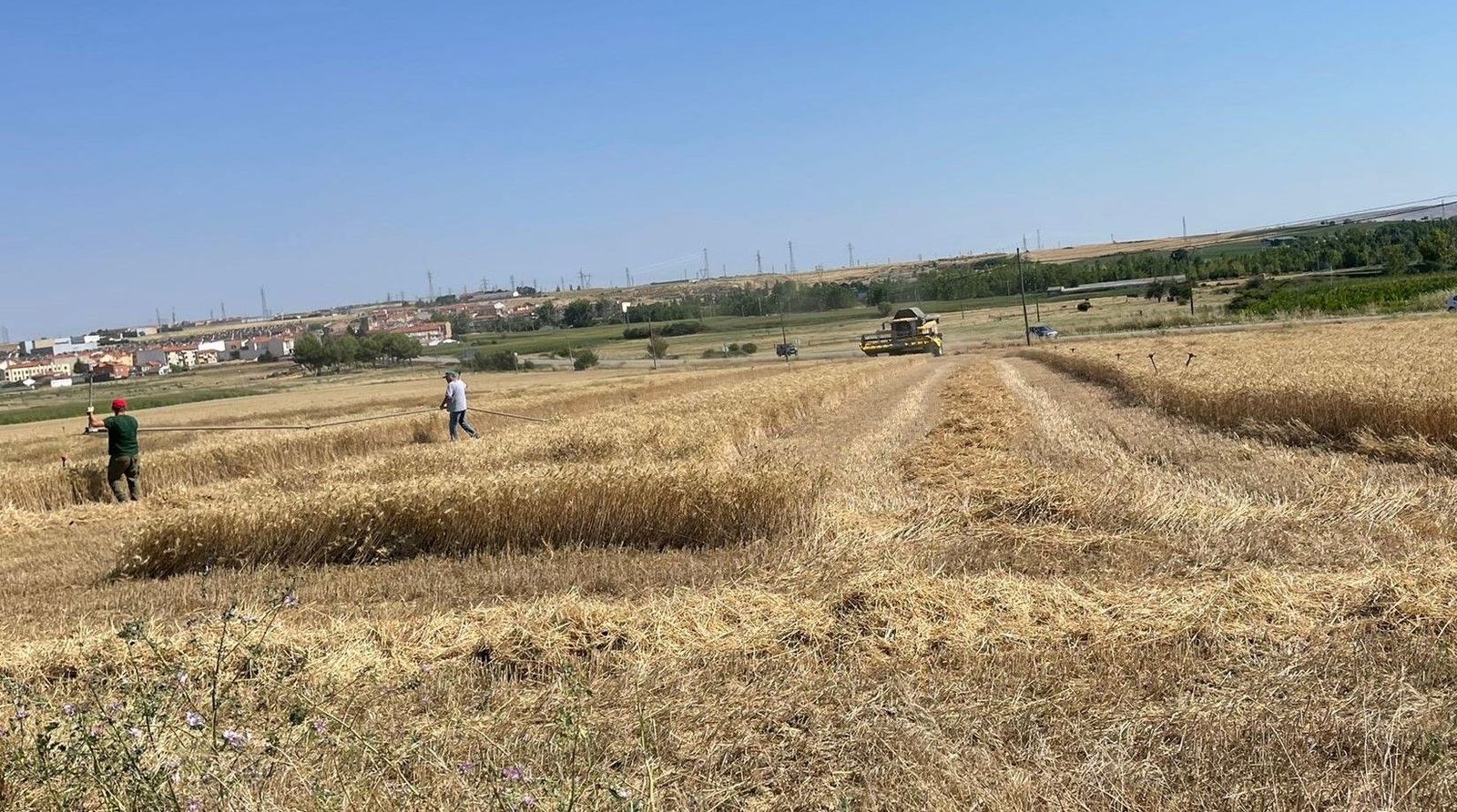 Cosecha de cereales en La Armuña. Foto de archivo