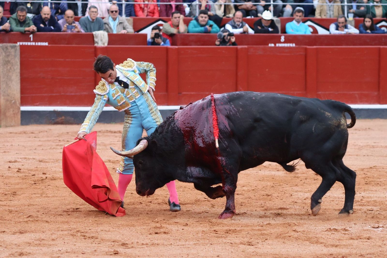 20230921180944-img-8069