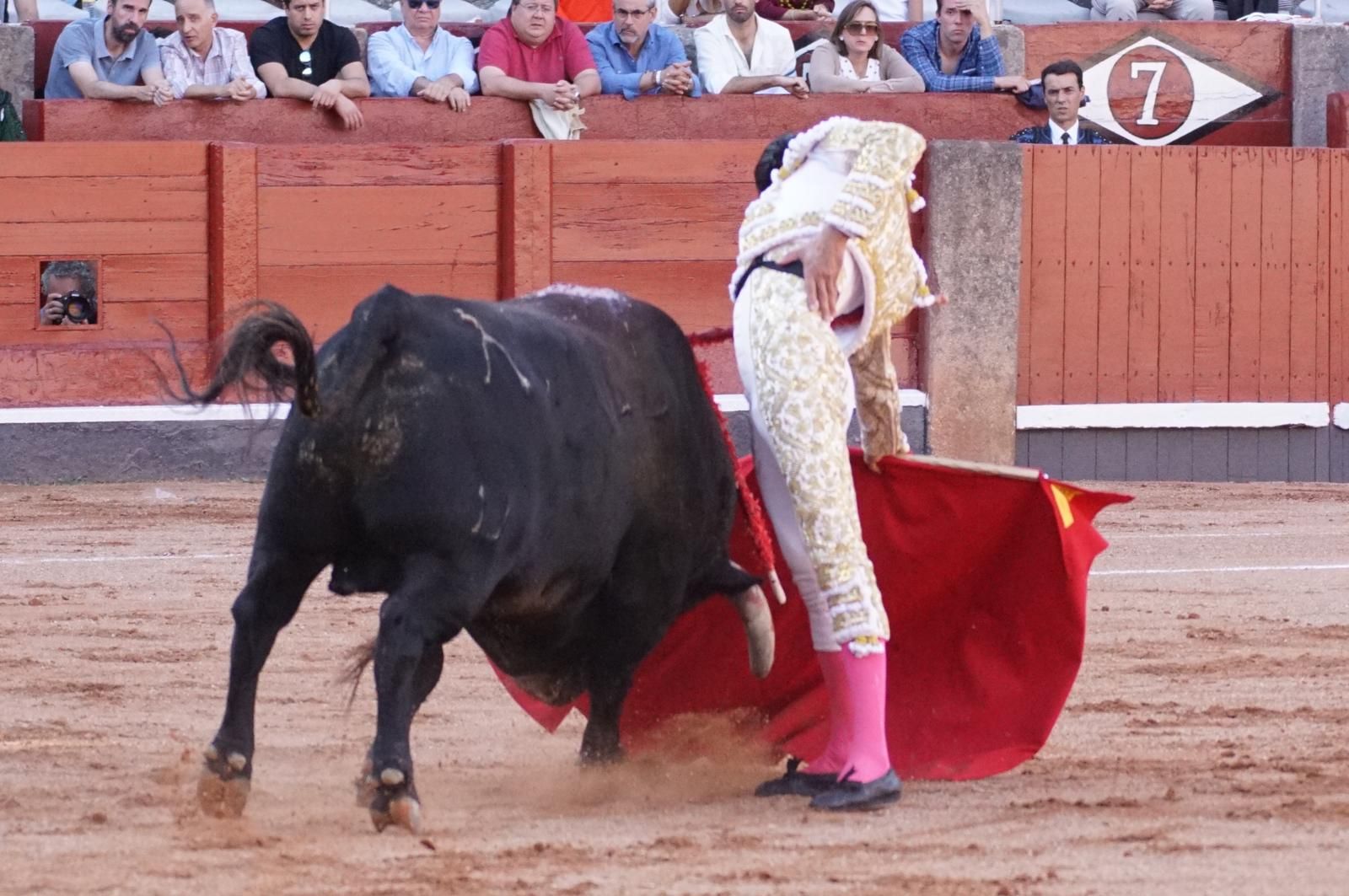 Presencia salmantina por partida doble en la primera corrida de la feria: Damián Castaño e Ismael Martín junto al mexicano Diego San Román