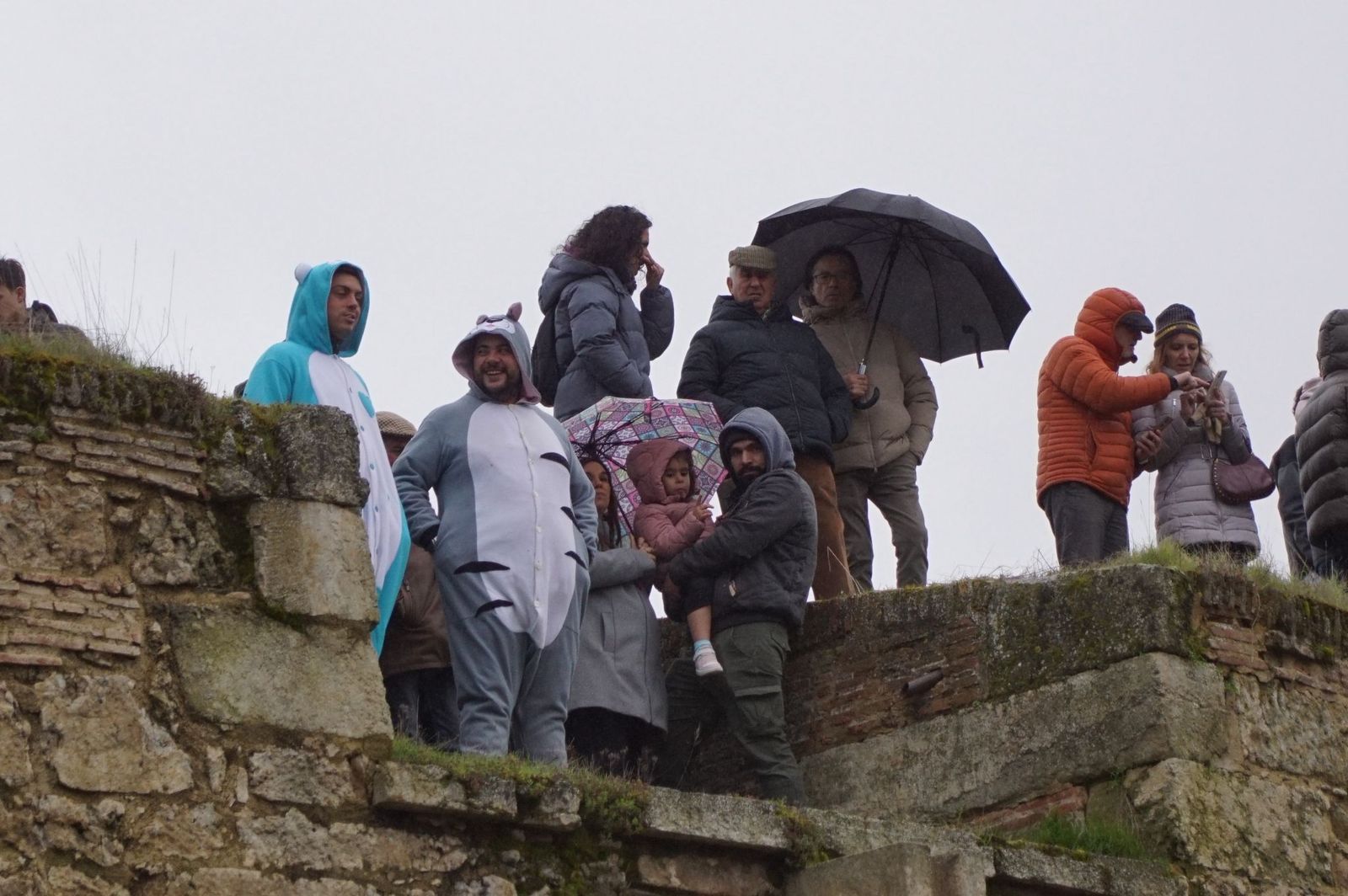 Capea matinal de domingo de carnaval en Ciudad Rodrigo (22).jpeg