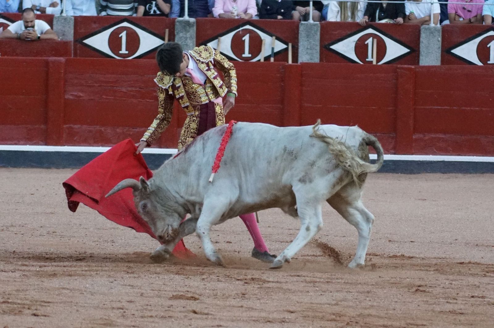 Clase práctica con alumnos de la Escuela de Tauromaquia de Salamanca (Diego Mateos, Noel García y Álvaro Rojo con erales de Esteban Isidro)