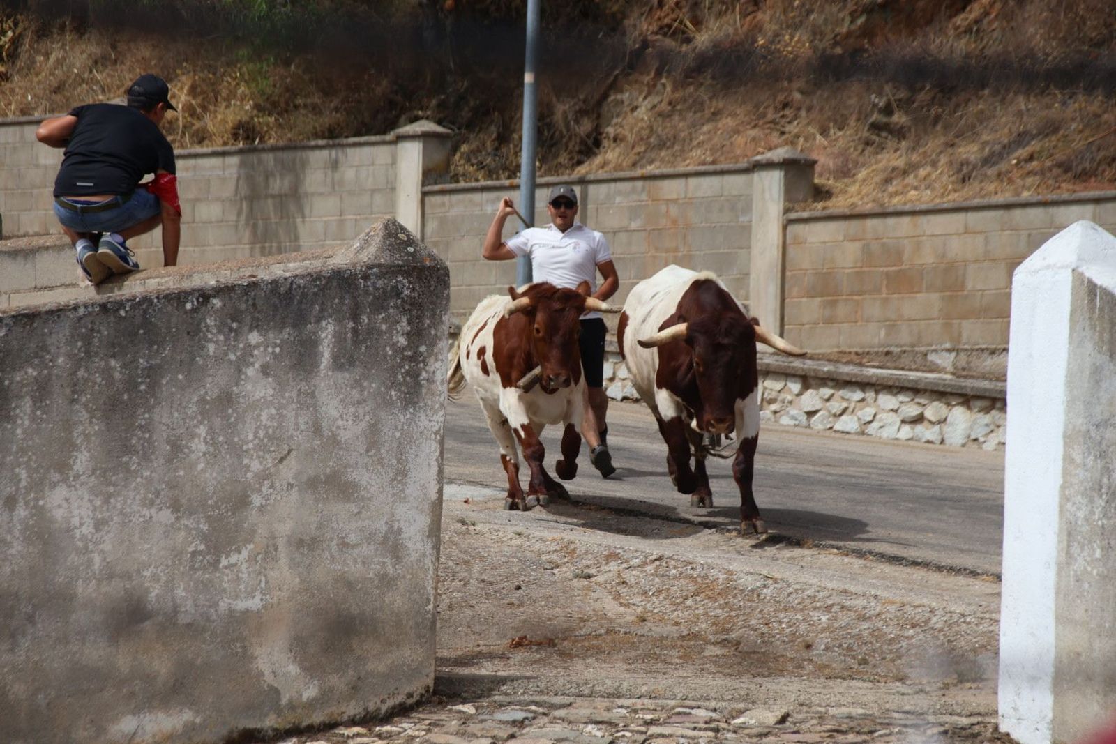 20230809113449-img-9536