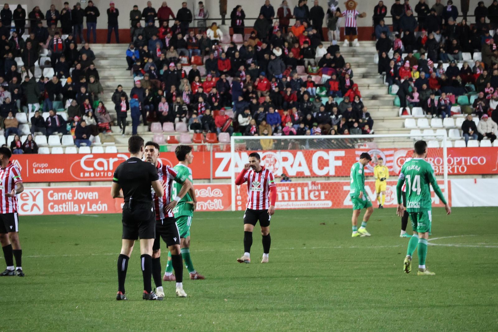 Zamora CF - Racing Ferrol