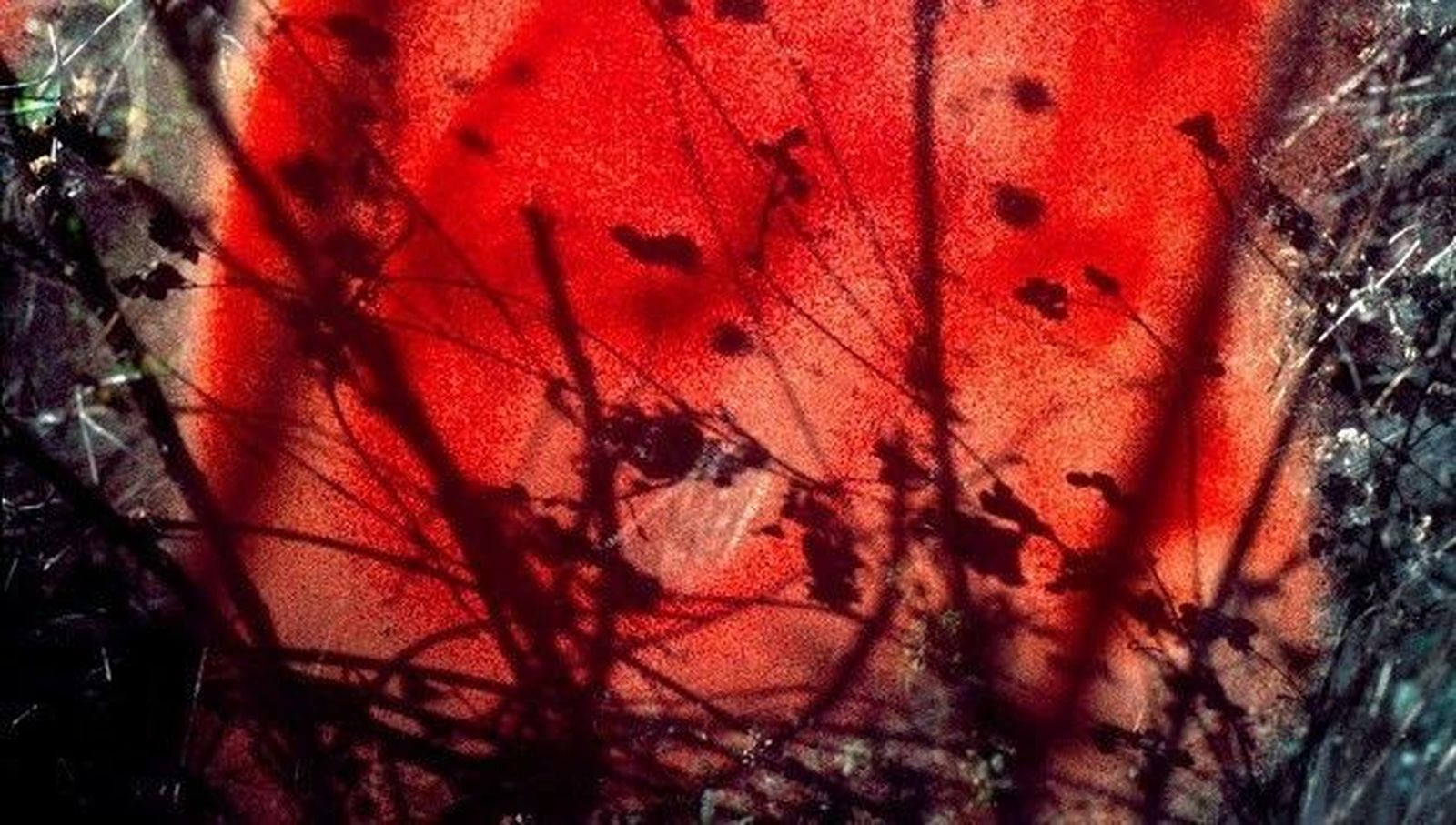 La Junta organiza en el Palacio de Quintanar la exposición fotográfica 'Luzdelagua'