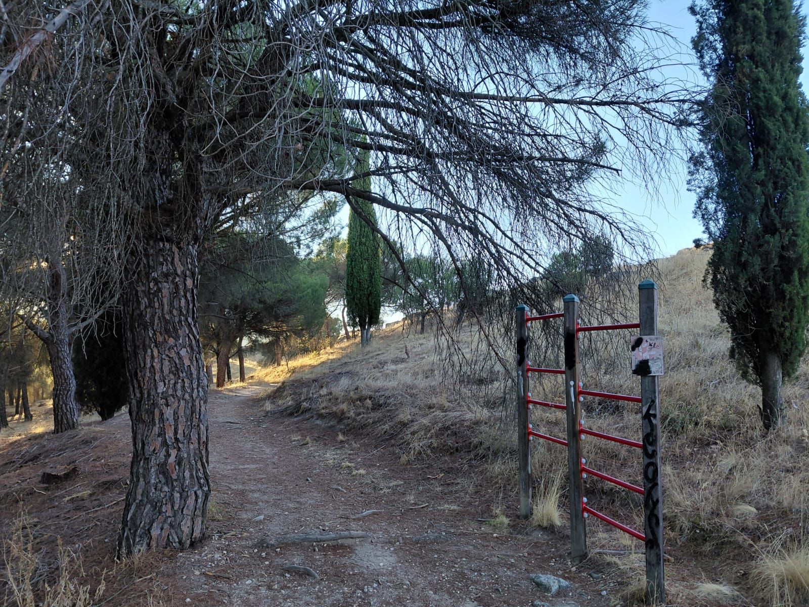 Proyecto Renaturaliza en Valorio