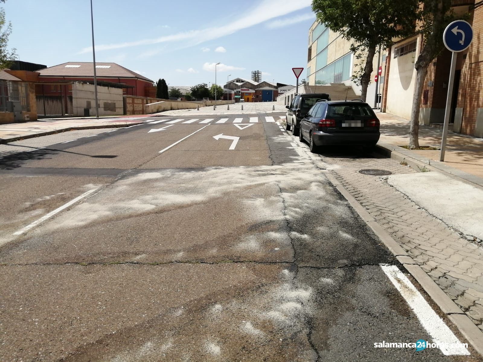 Aceite Arias Pinel (12)