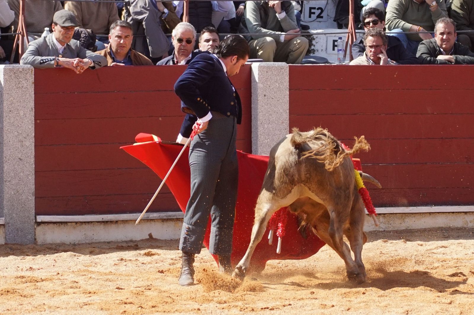 Festival taurino solidario por la esclerosis múltiple en Guijuelo