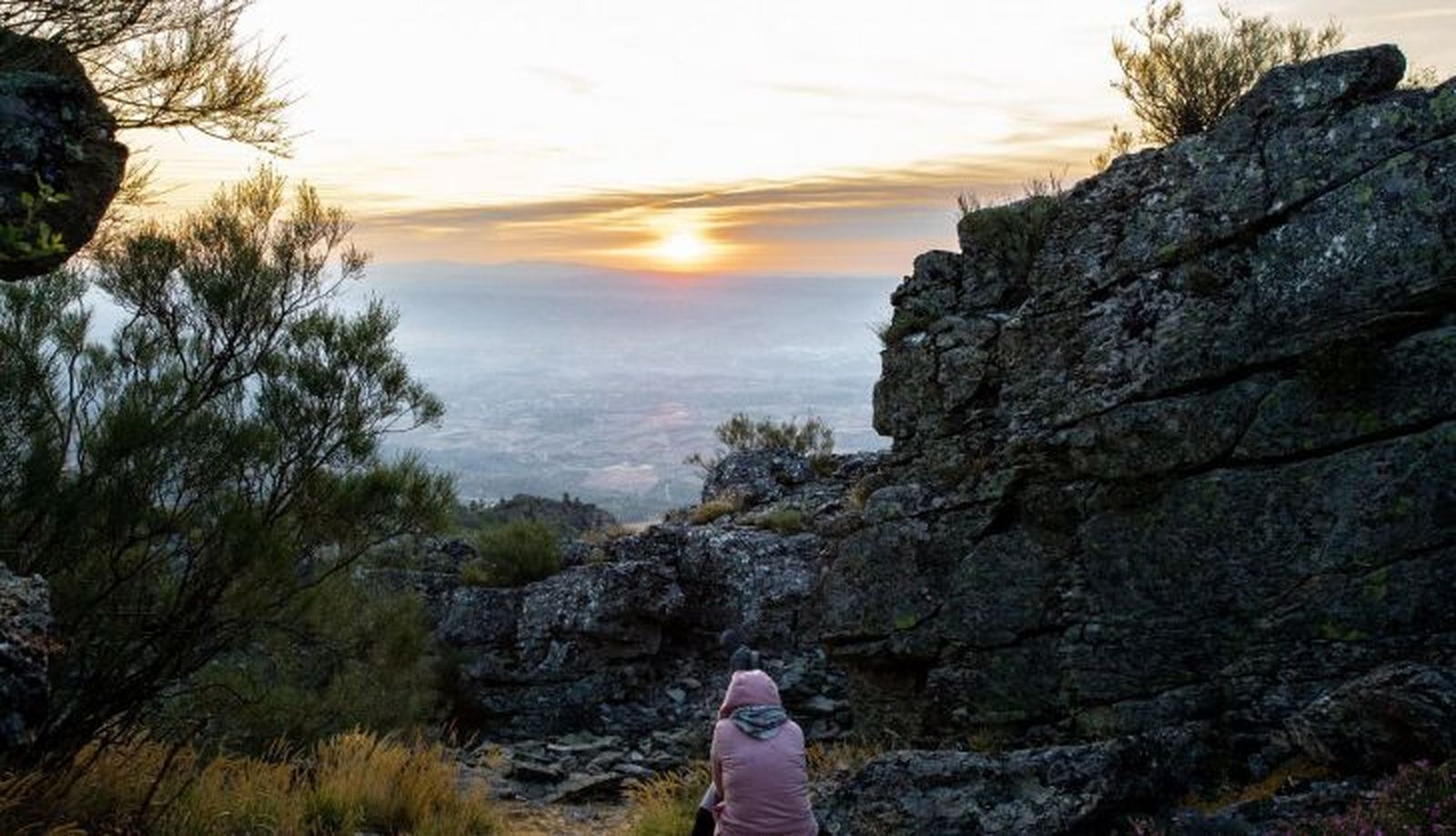 36f987ef92905dbd6cc7066e1d4ba5ebPROGRAMAS (multi)