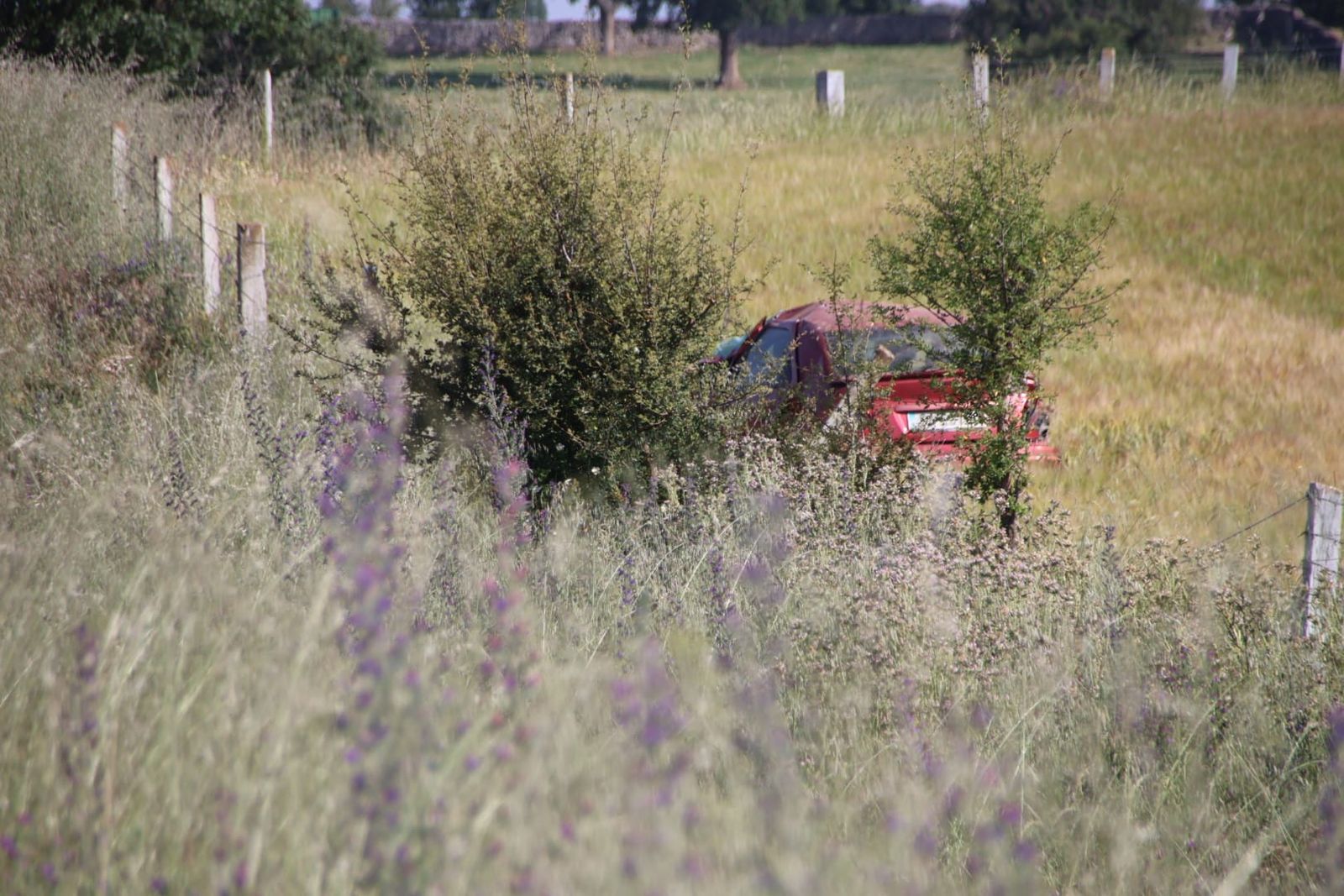 whatsapp-image-2024-06-06-at-09-57-25-3