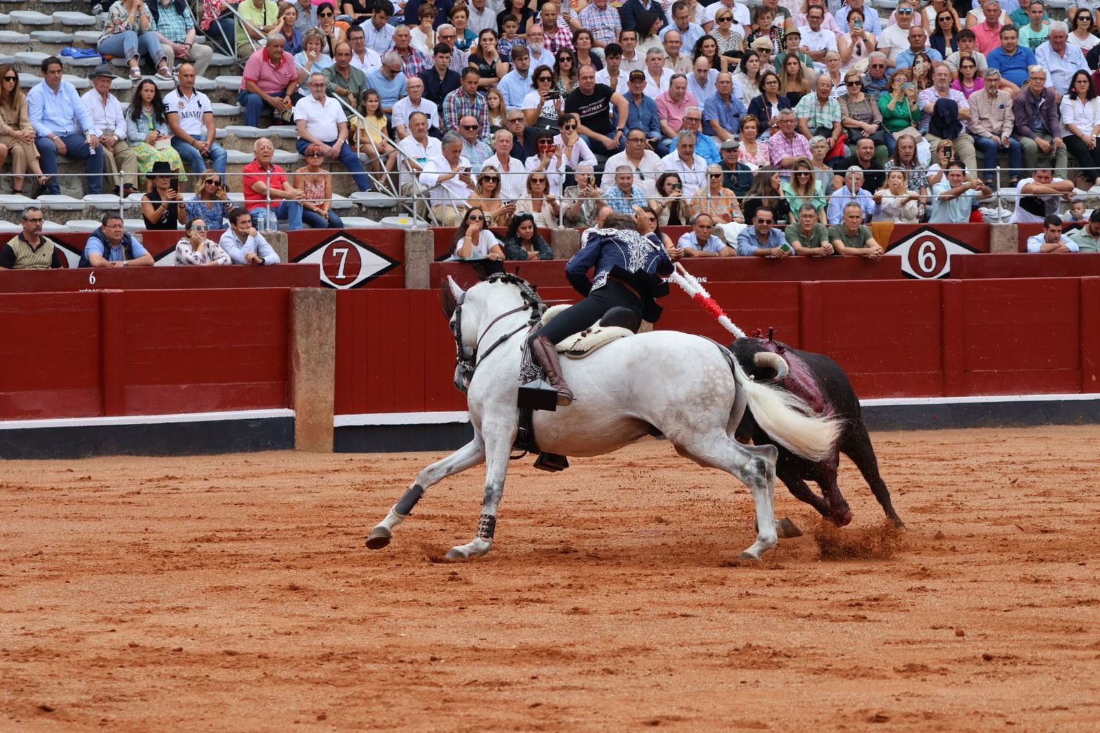 20230909172324-img-0444