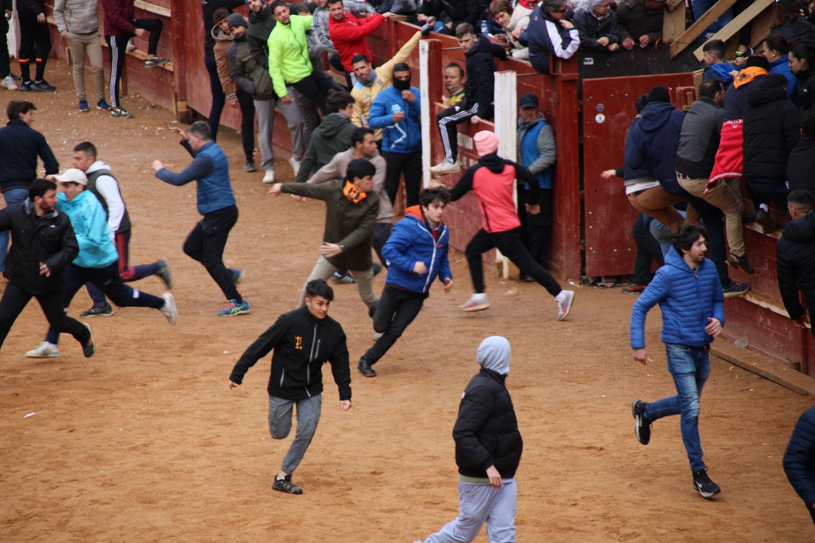 encierro-urbano-martes-de-carnaval-ciudad-rodrigo-2025-21