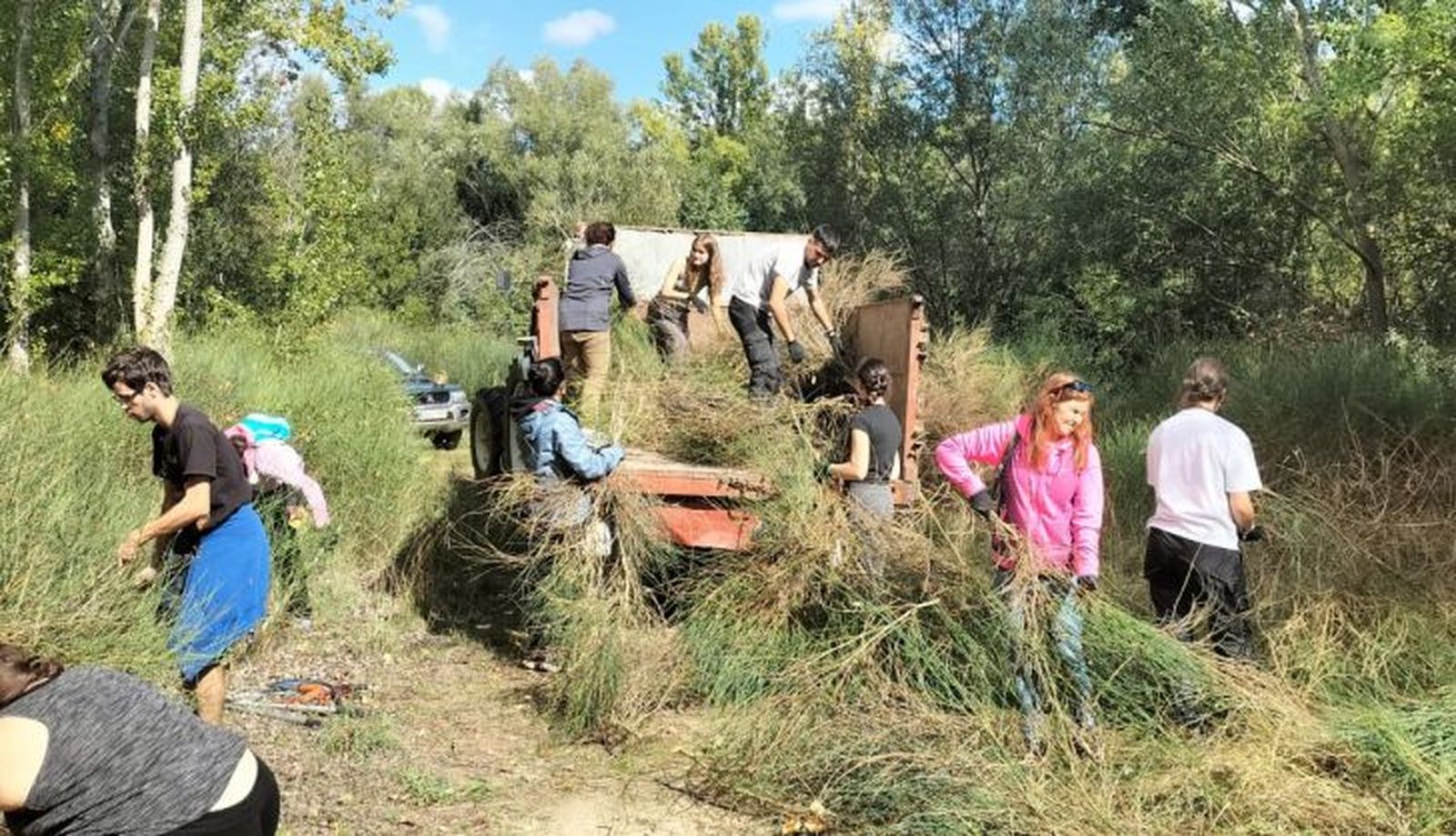 RECOGIDA DE MATERIA VEGETAL INVASORA