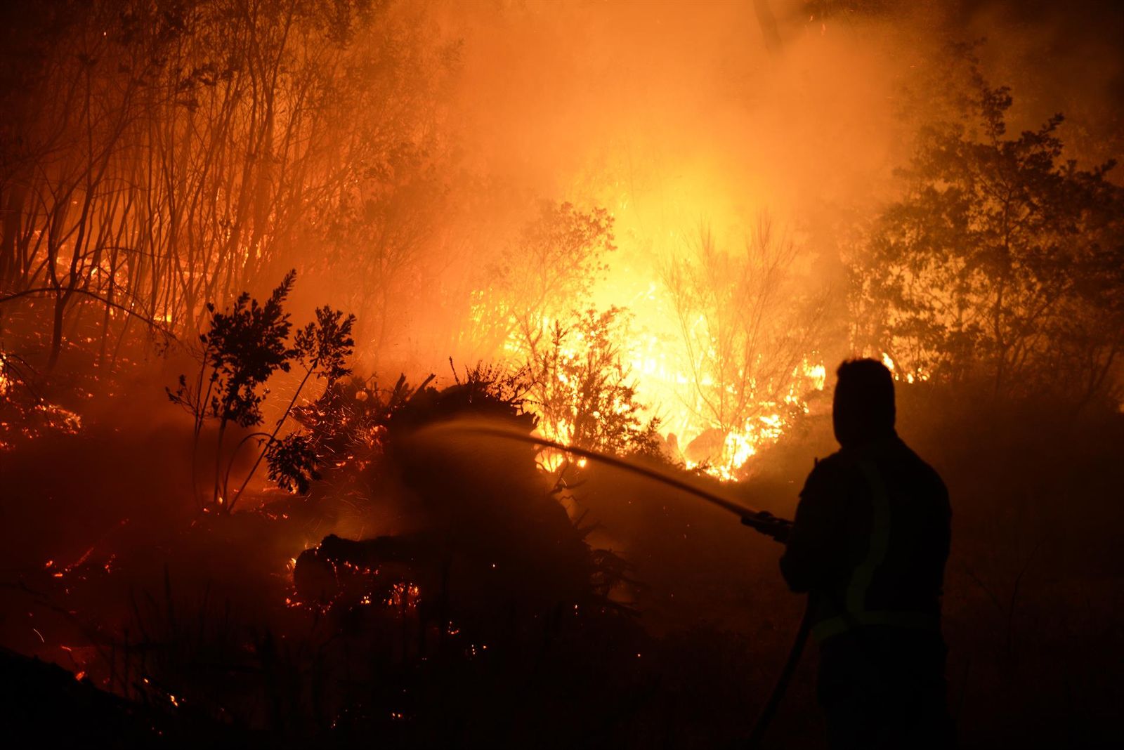 Incendio forestal. Archivo EP