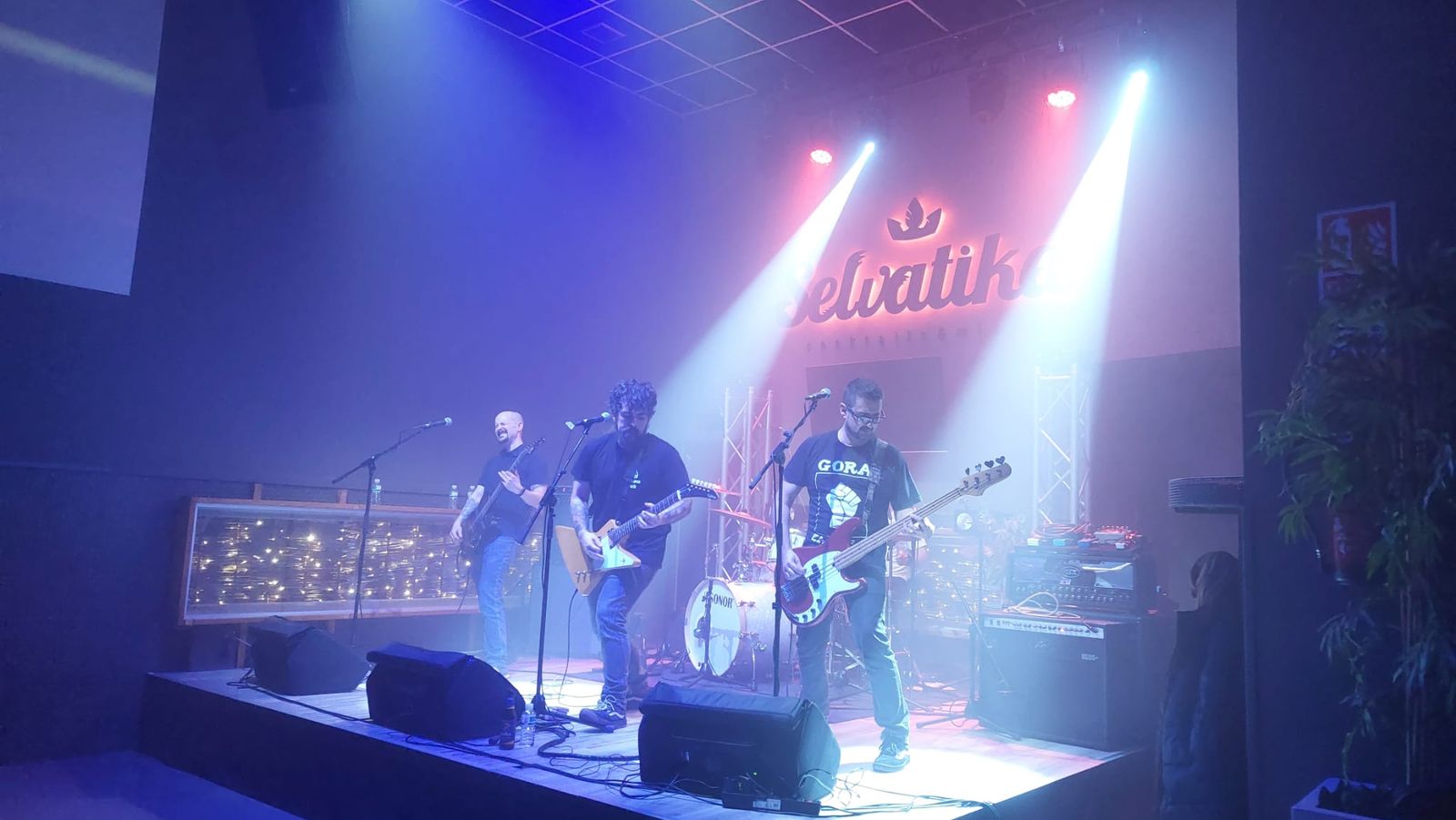 fhlim-en-la-sala-selvatika-27