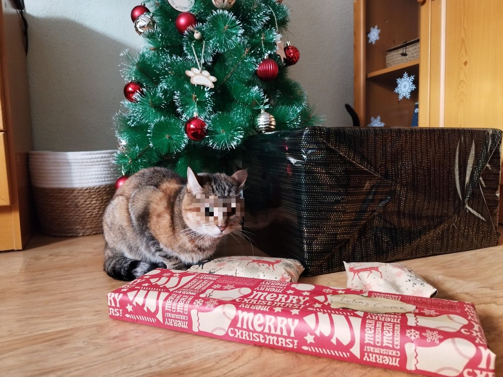 whatsapp-image-2024-01-06-at-11-11-14