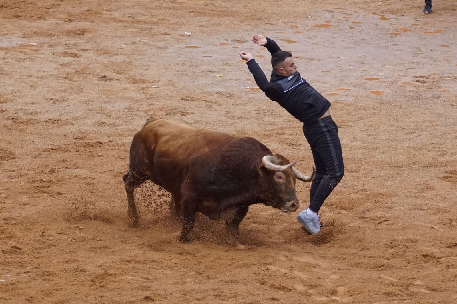 whatsapp-image-2025-03-03-at-14-50-28-2