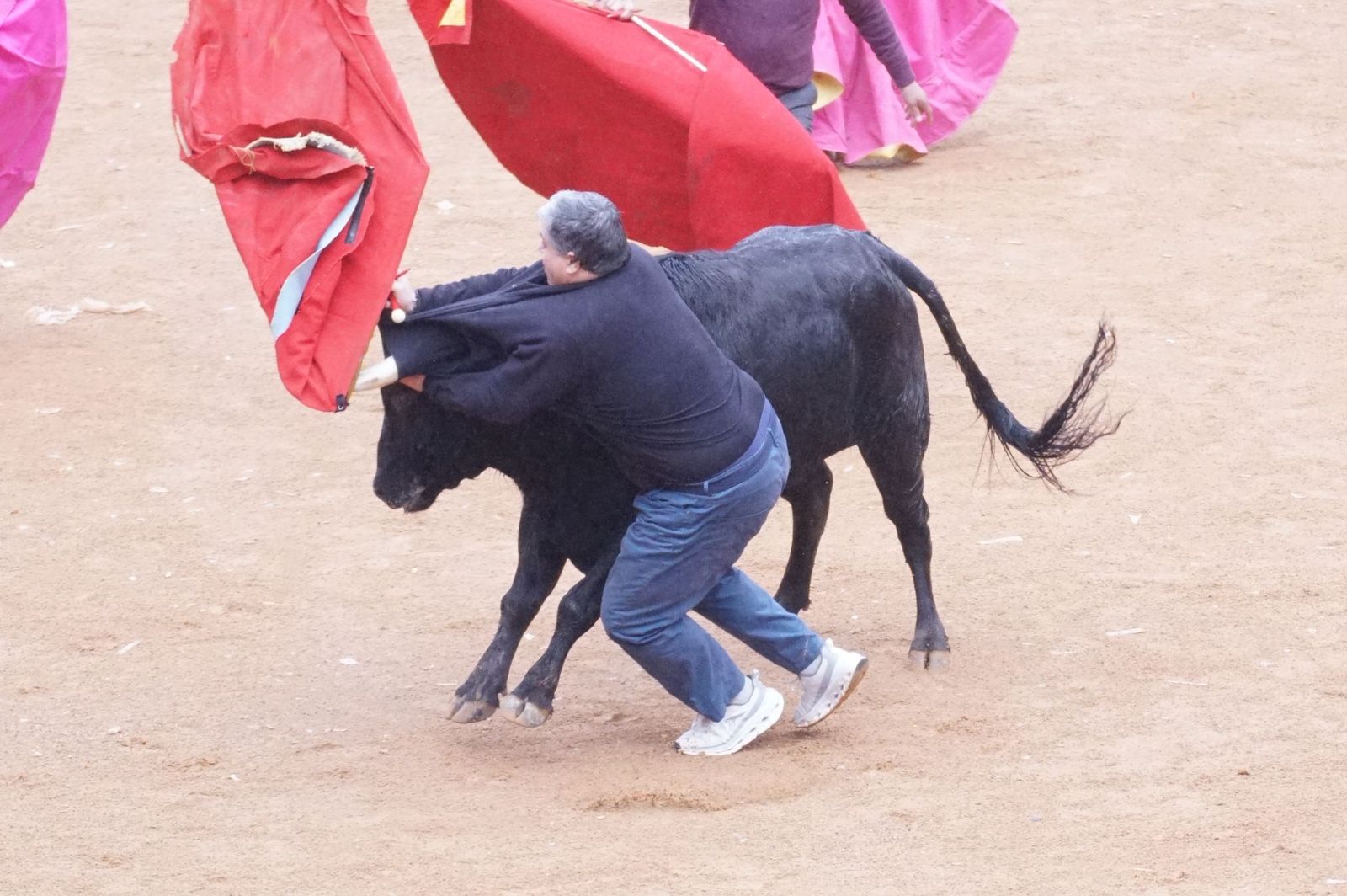 Capea matinal de domingo de carnaval en Ciudad Rodrigo (55).jpeg