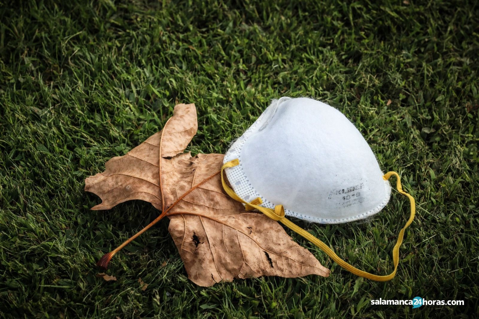 Hojas mascarilla otoño coronavirus (2)