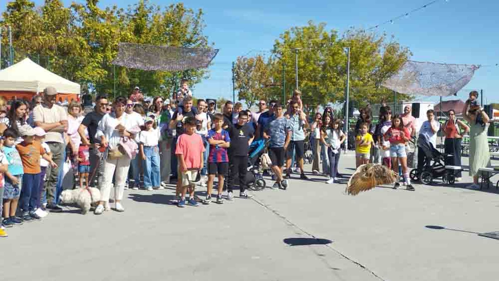 Talleres y actividades para niños por las visperas nupciales