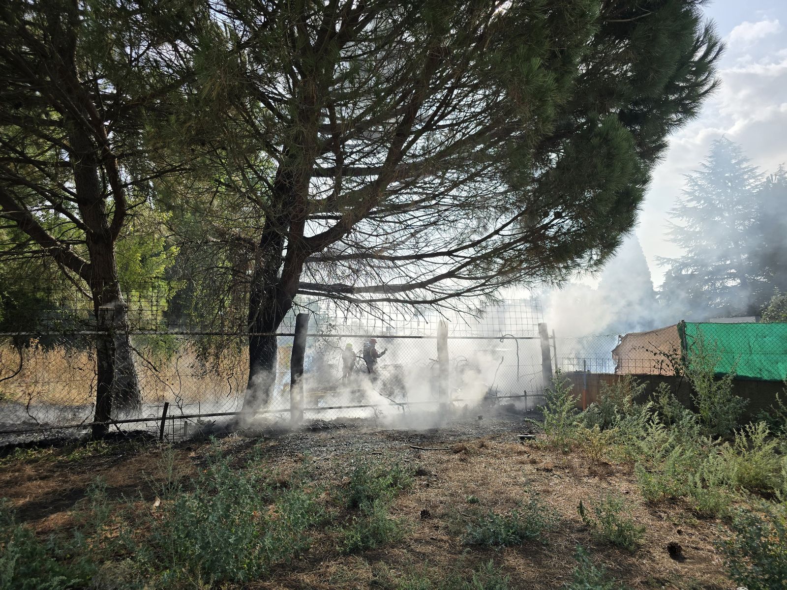 whatsapp-image-2024-08-29-at-10-55-40