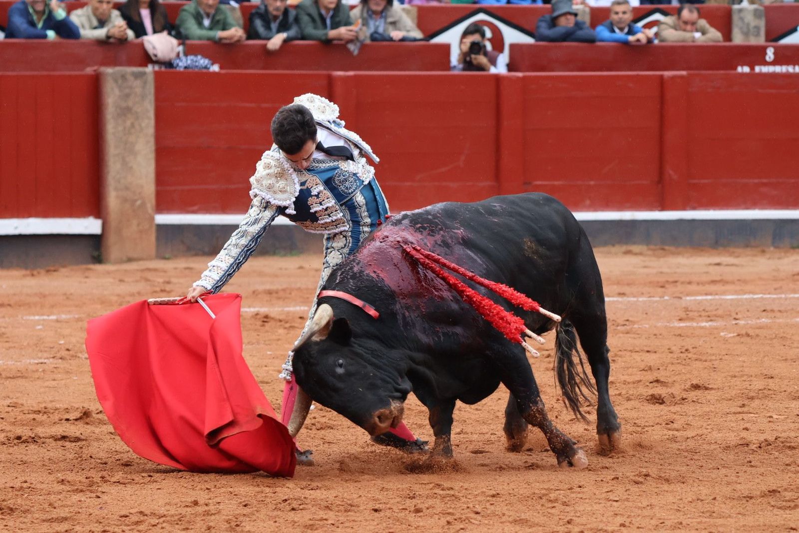 20230916175814-img-5399