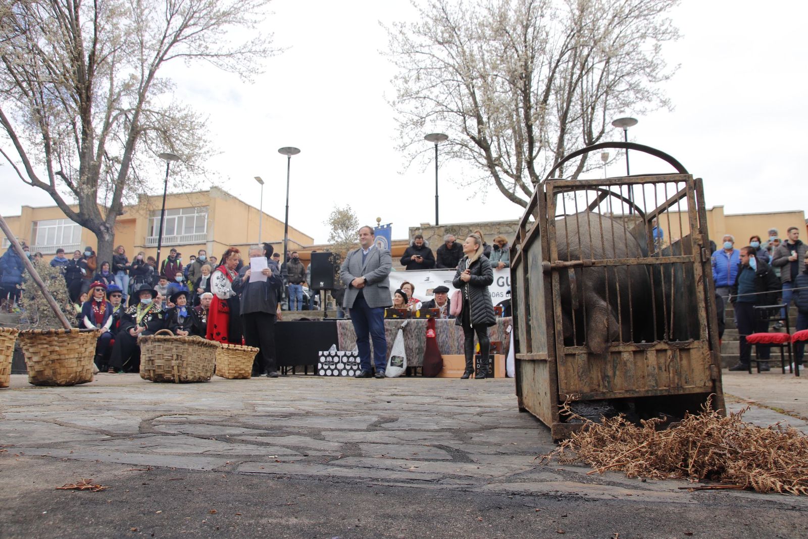 20220226130909-mg-1246