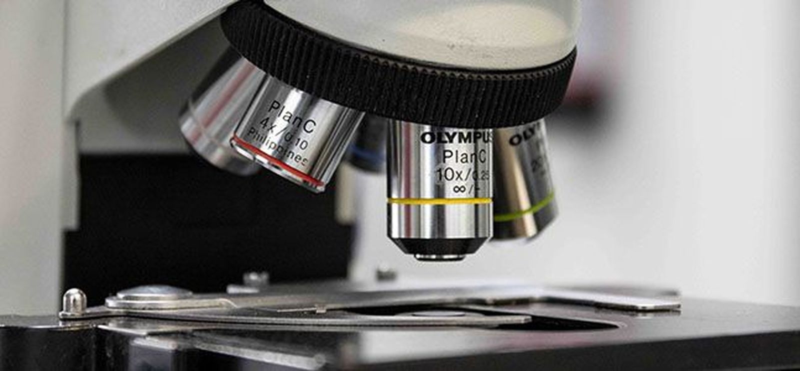 Aumenta el número de investigadores de la Universidad de Salamanca en el ranking de Stanford. Comunicación USAL